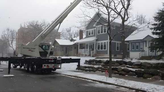 Service's: Tree Health Care