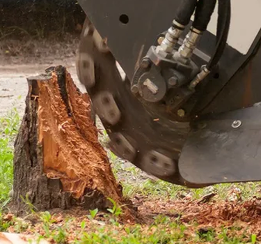 Stump Grinding