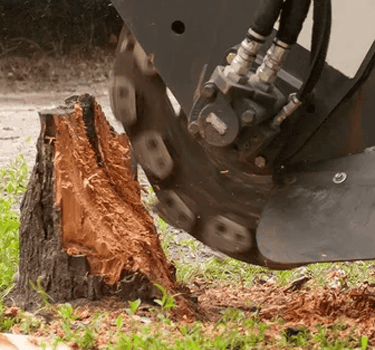 Stump Grinding